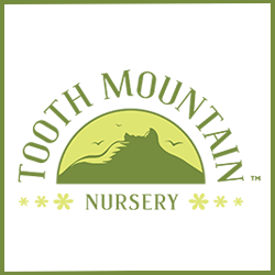 Tooth Mountain Nursery