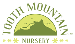 Tooth Mountain Nursery