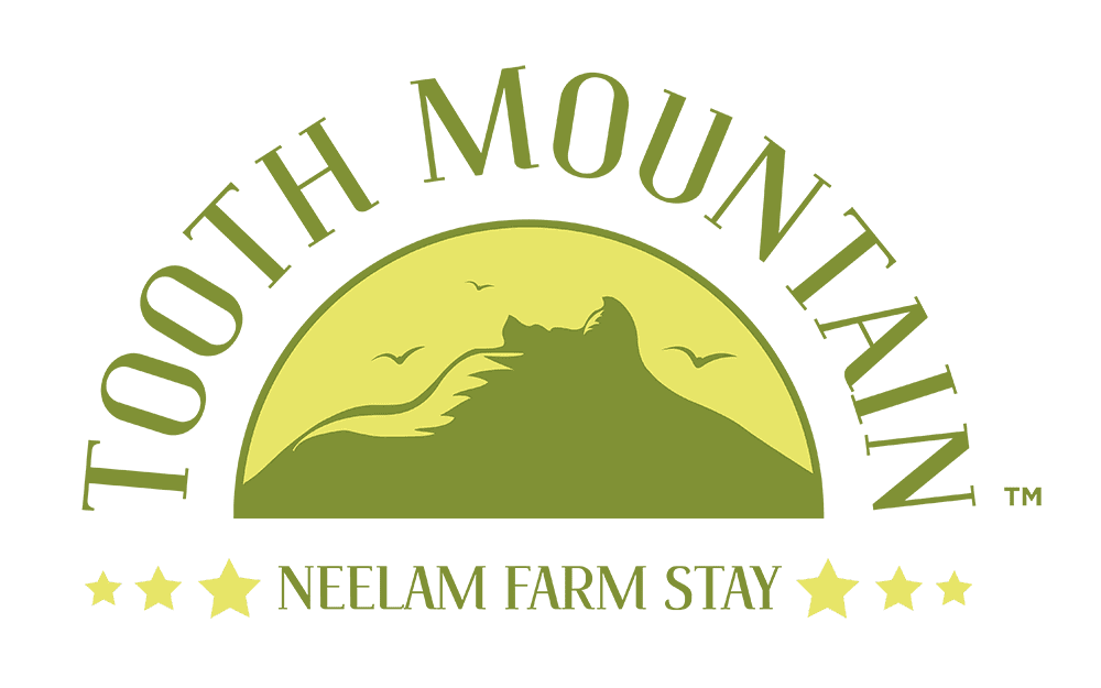 Tooth Mountain Farms